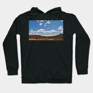 Oasis on the way to the Desert Hoodie